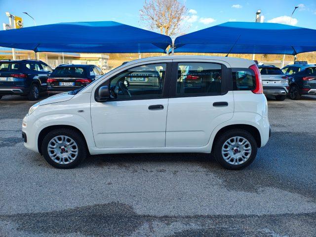 FIAT Panda 1.3 MJT 95 CV S&S Easy