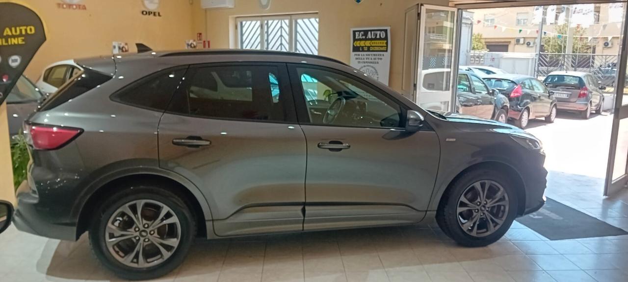 Ford Kuga 1.5 EcoBlue 120 CV aut. 2WD ST-Line