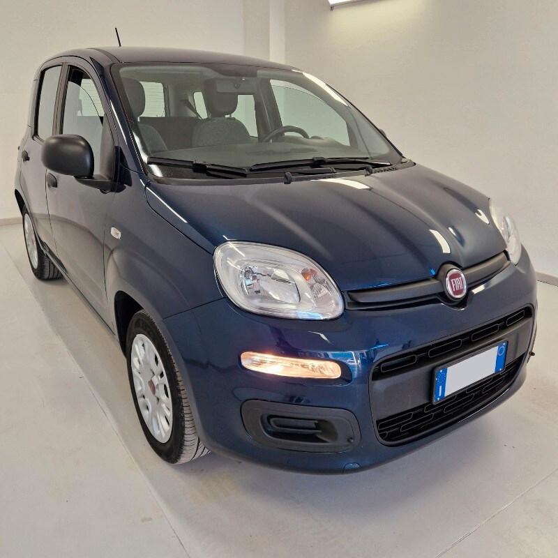 FIAT Panda 3ª serie Panda 1.0 FireFly S&S Hybrid