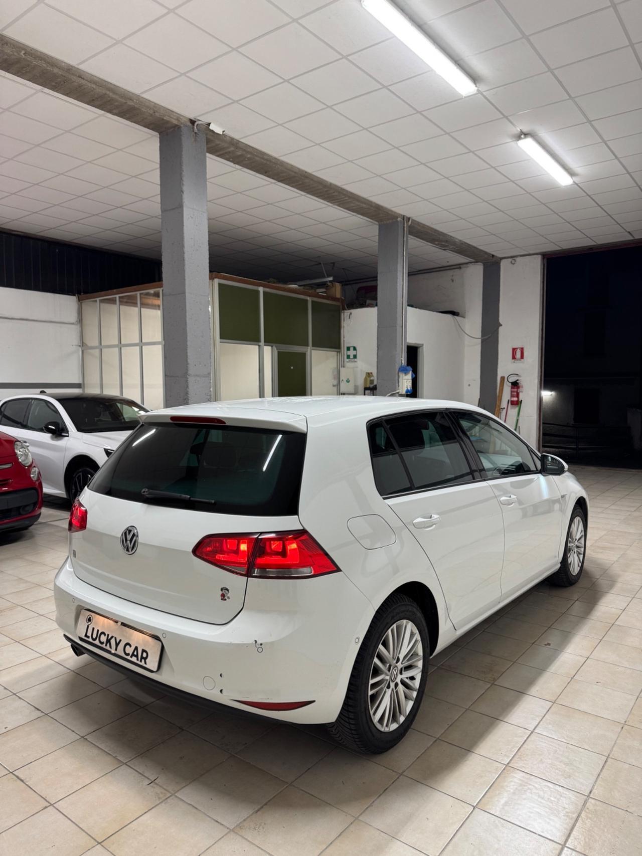Volkswagen Golf 1.6 TDI 110 CV 5p. Highline BlueMotion Technology