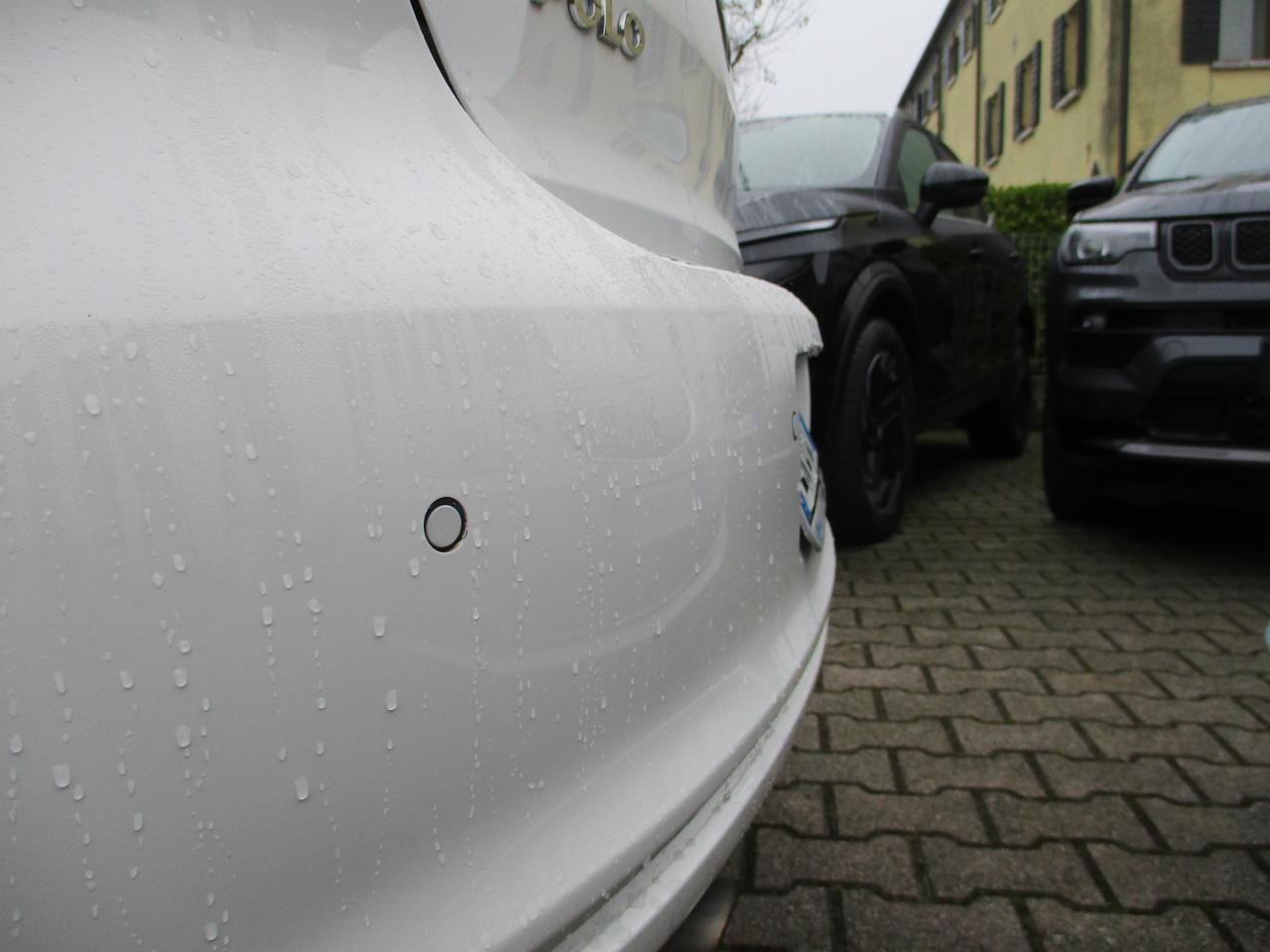 Volkswagen Polo 5 Porte Polo 5p 1.6 tdi Comfortline 90cv