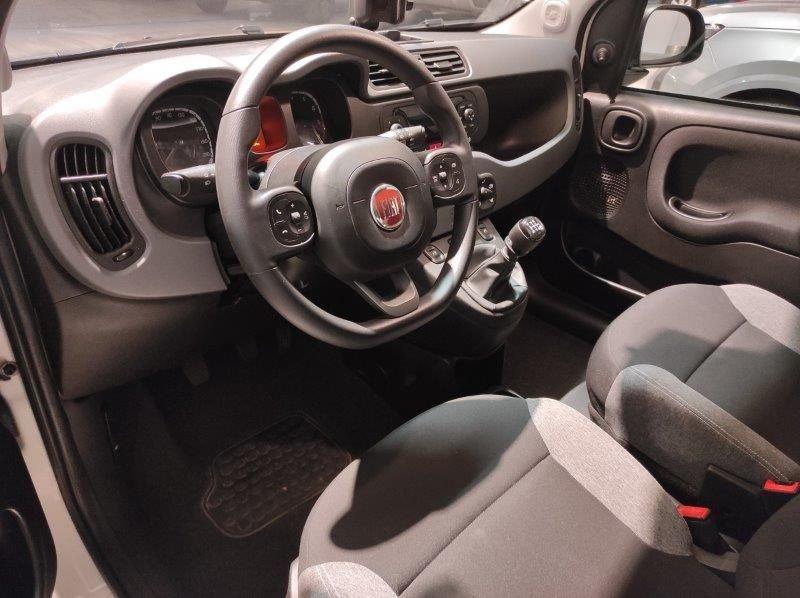 FIAT Panda 3ª serie 1.0 FireFly S&S Hybrid City Life