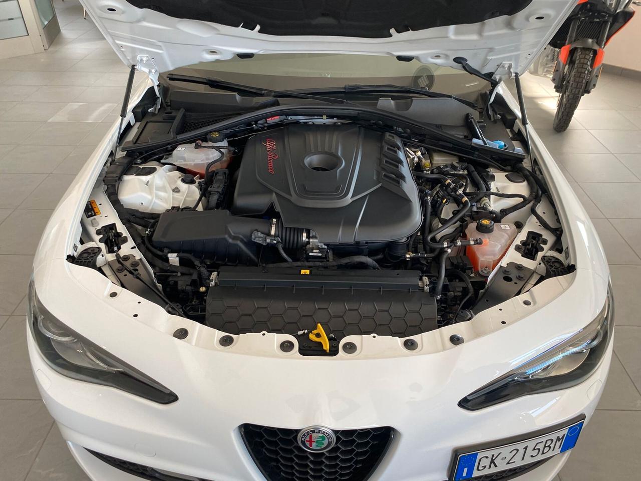 Alfa Romeo Giulia 2.2 Turbodiesel 210 CV AT8 AWD Q4 Veloce