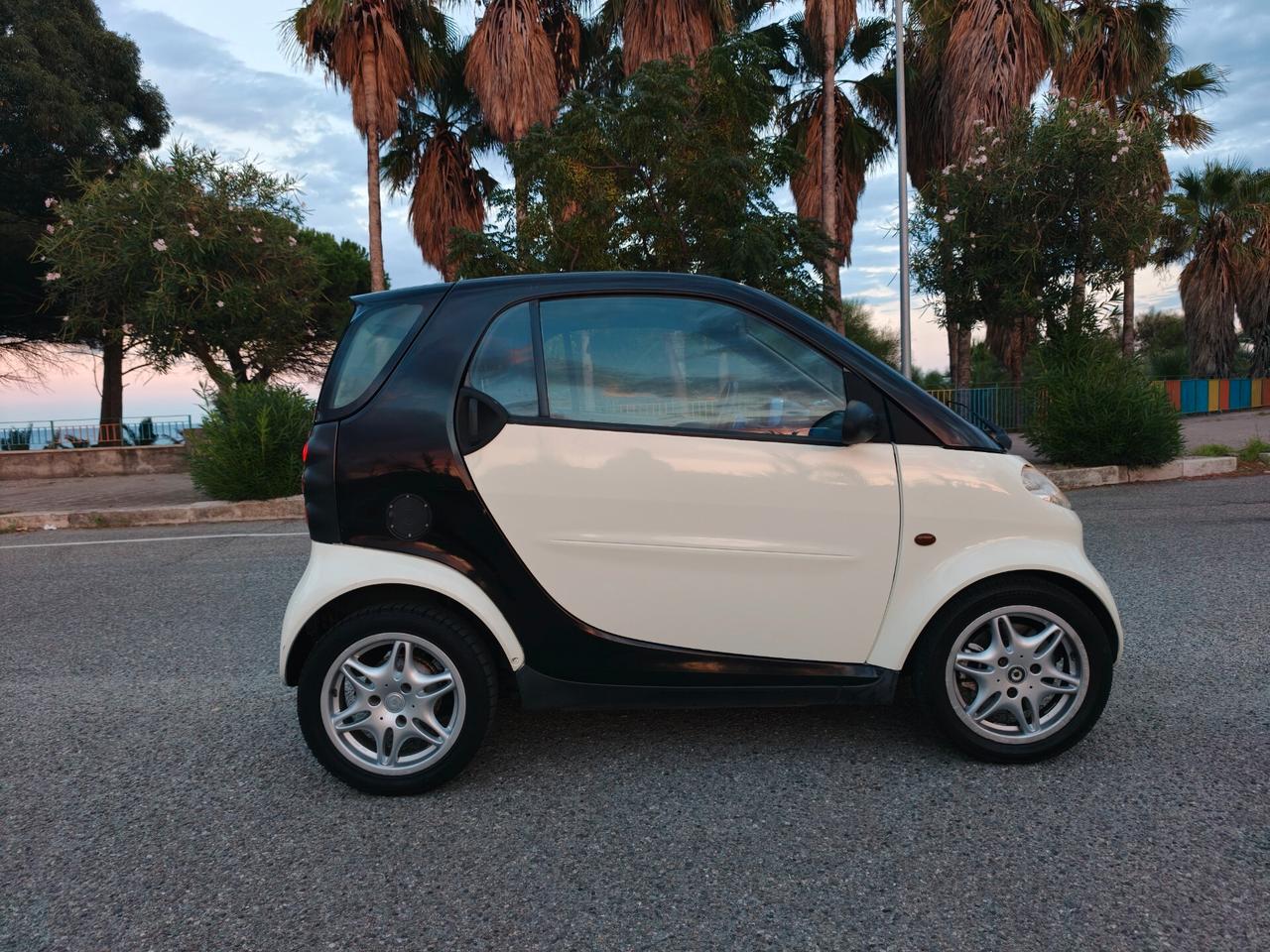 Smart 600 & passion