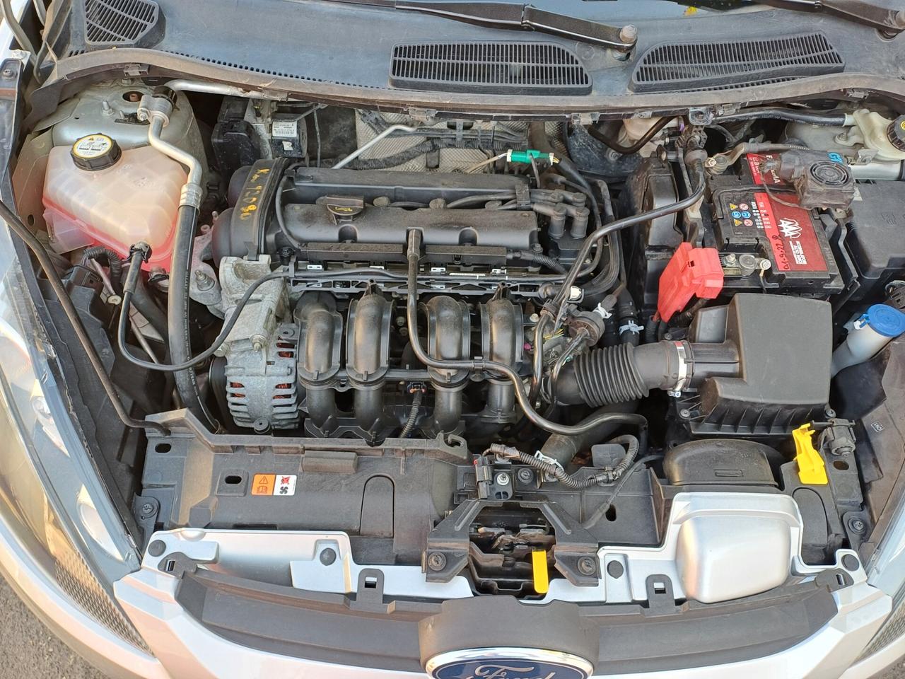 Ford Fiesta Fiesta 1.2 60CV 5 porte neopatentati,garanzia