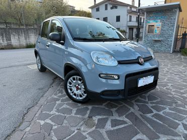 Fiat Panda 1000 Hybrid 70cv 2022