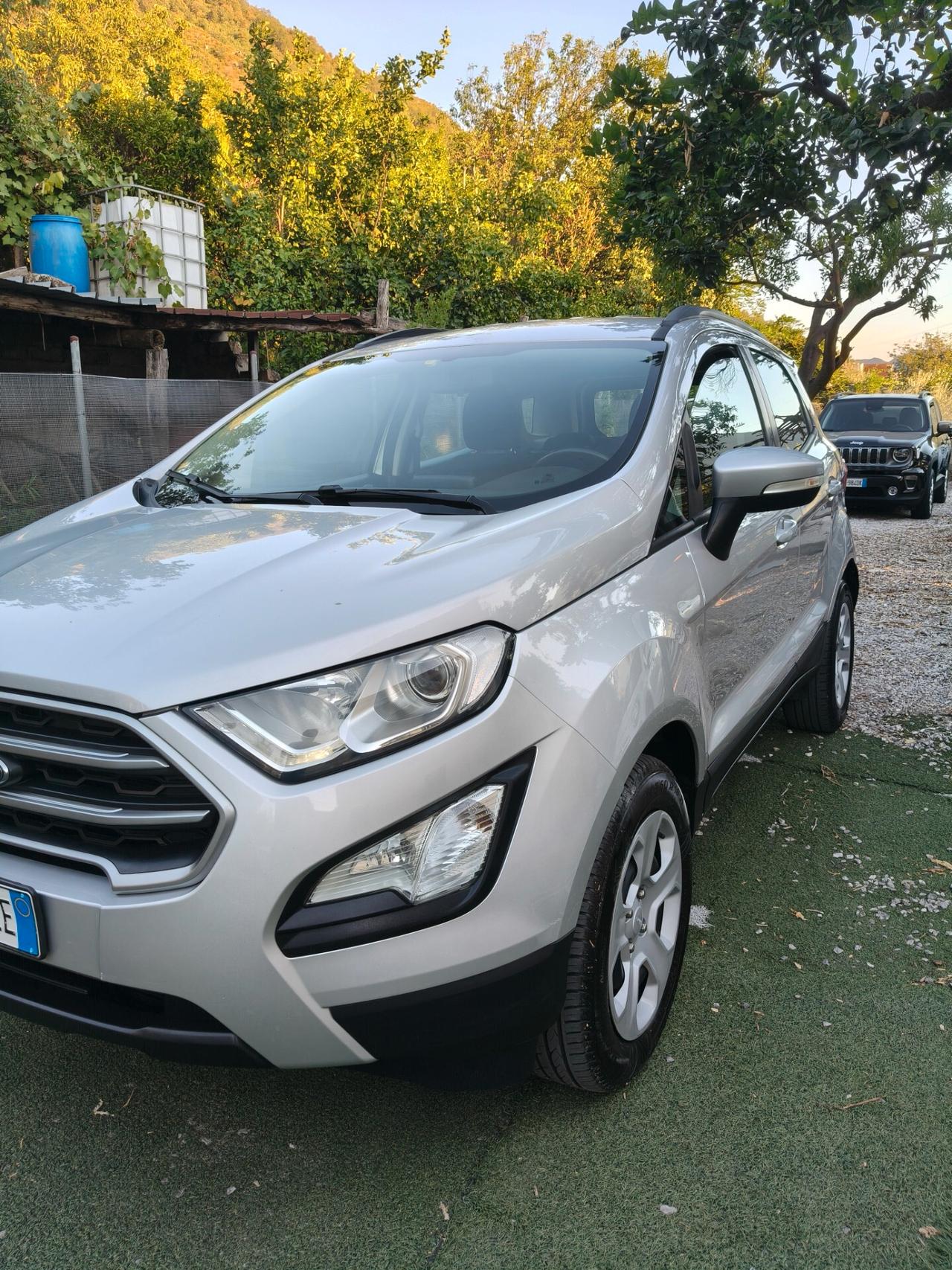 Ford EcoSport 1.0 EcoBoost 100 CV Plus RESTYLING