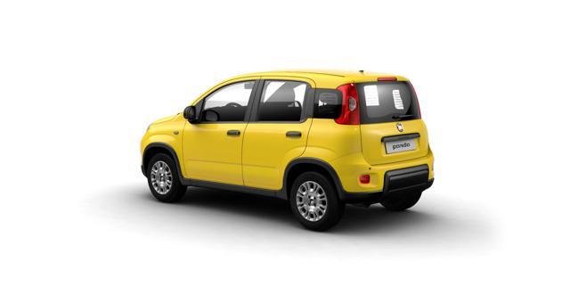 FIAT Panda 1.0 FireFly S&S Hybrid + PANDINA