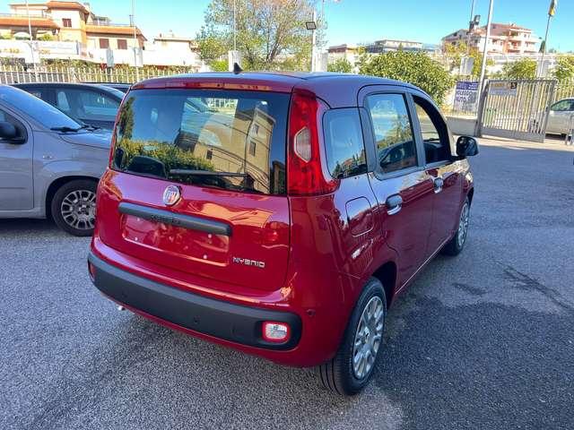 Fiat Panda Panda1.0 firefly hybrid KM 0 DIVERSI COLORI pronte
