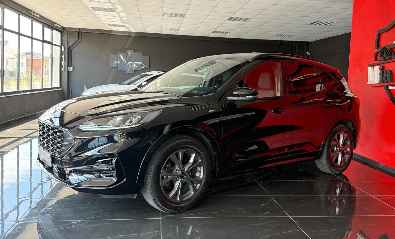 Ford Kuga 1.5 EcoBlue 120 CV aut. 2WD ST-Line