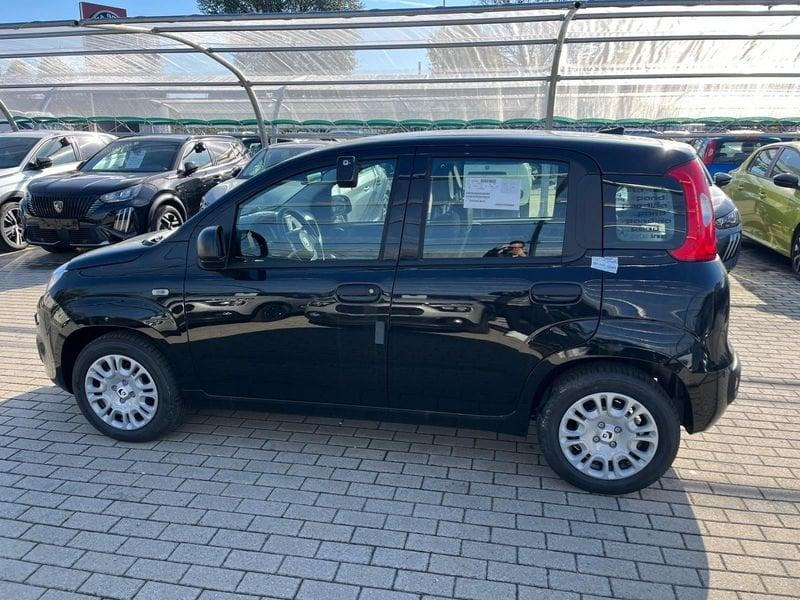 FIAT Panda Panda 1.0 FireFly S&S Hybrid Icon