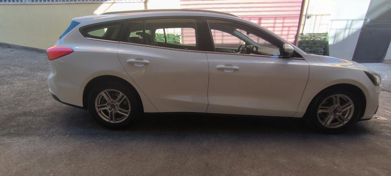 Ford Focus 1.5 EcoBlue 120 CV automatico SW Business Co-Pilot