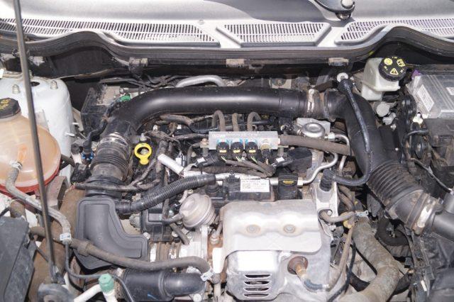FORD EcoSport 1.0 EcoBoost 125 CV Active GPL sedili in pelle