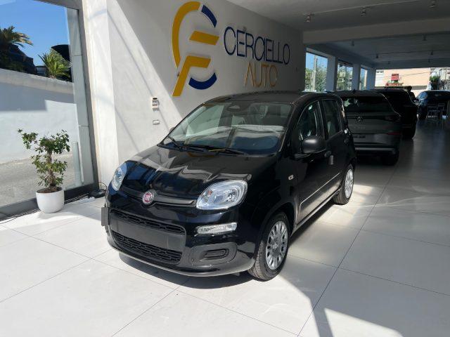 FIAT Panda 1.0 FireFly S&S Hybrid Icon tua da ?149,,00