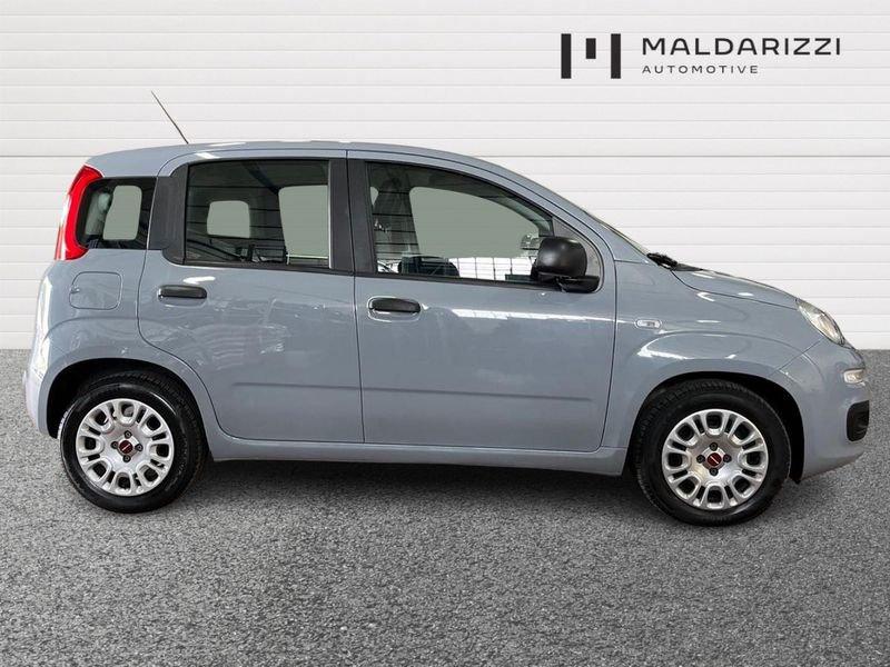 FIAT Panda III 2021 1.0 firefly hybrid s&s 70cv