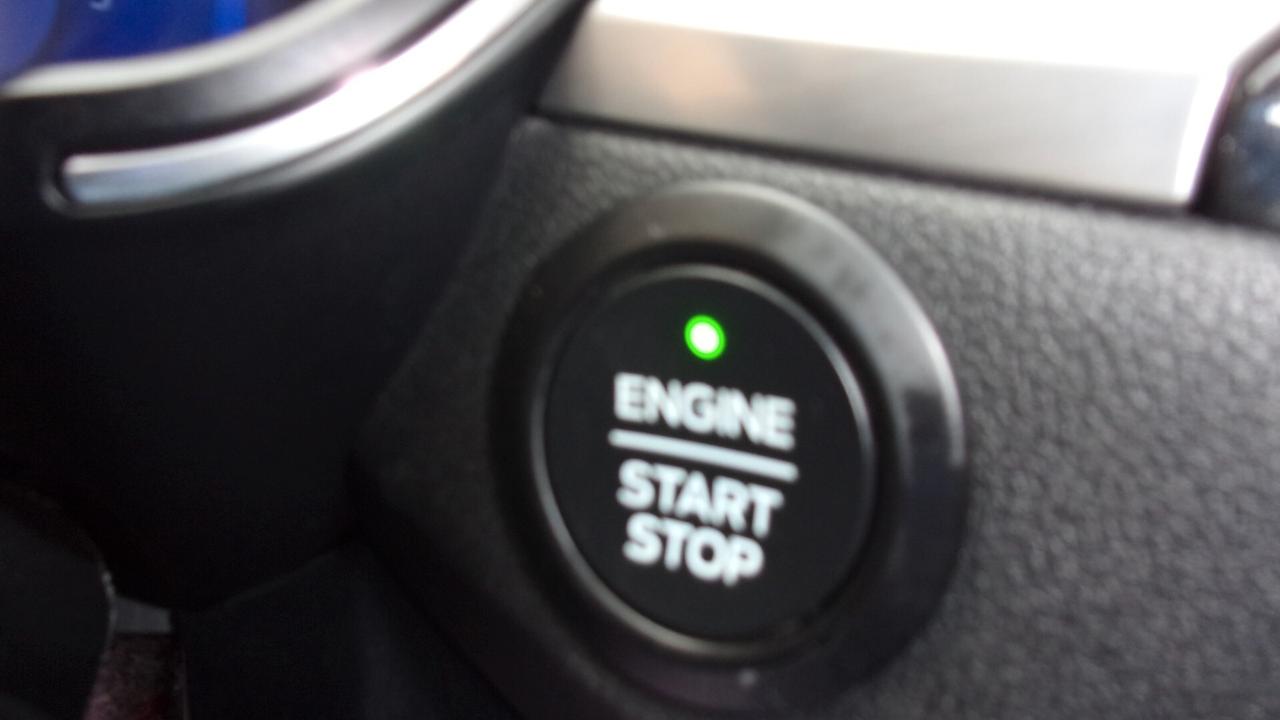 Ford Kuga 1.5 EcoBlue 120 CV 2WD Titanium