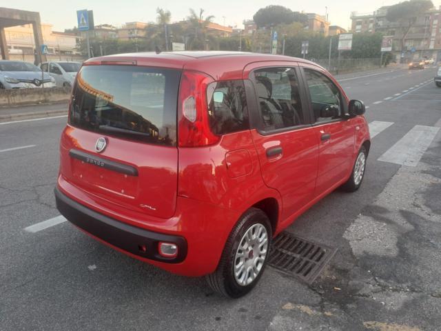 FIAT Panda 1.2 GPL 69cv - UNIPRO TAGLIANDATA