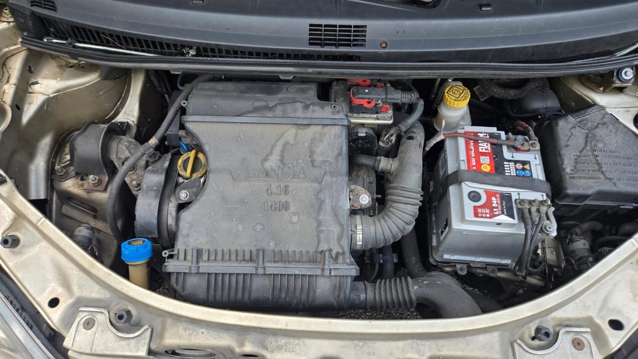 Lancia MUSA 1.4 16V Platino Plus 290000km
