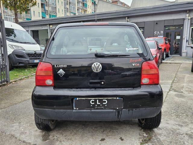 VOLKSWAGEN Lupo 1.4 TDI cat Highline