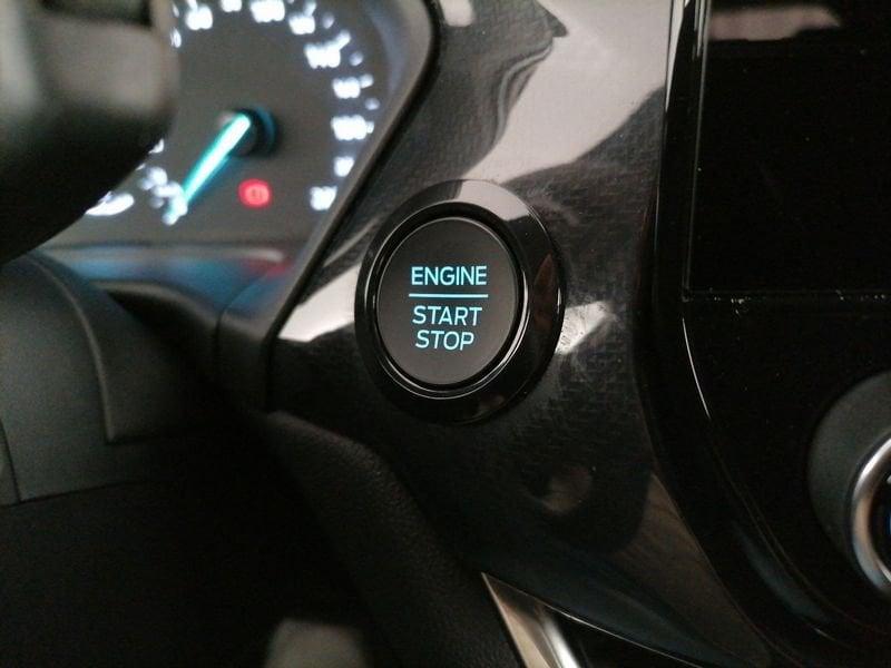 Ford Fiesta 5p 1.0 ecoboost h ST-Line 125cv