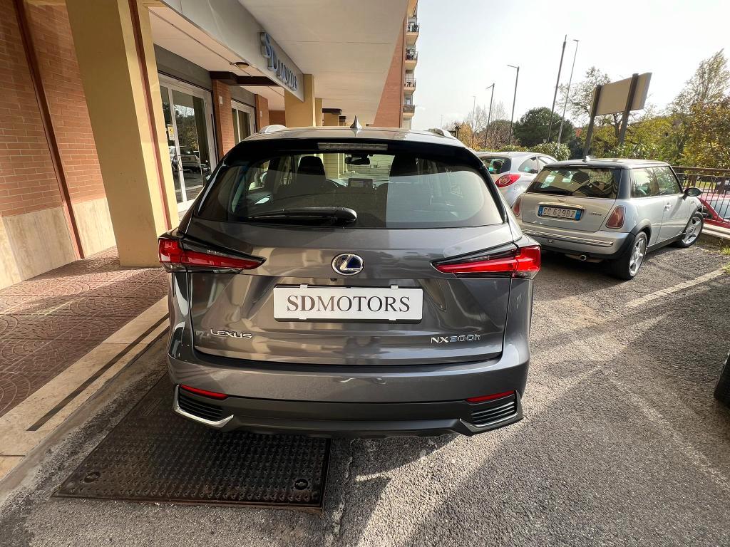 Lexus NX 300h 2.5 Business 4wd cvt