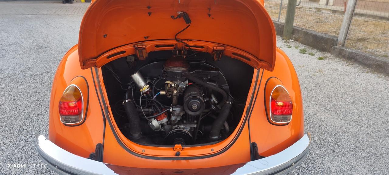 Volkswagen Maggiolino CABRIO o COUPE'