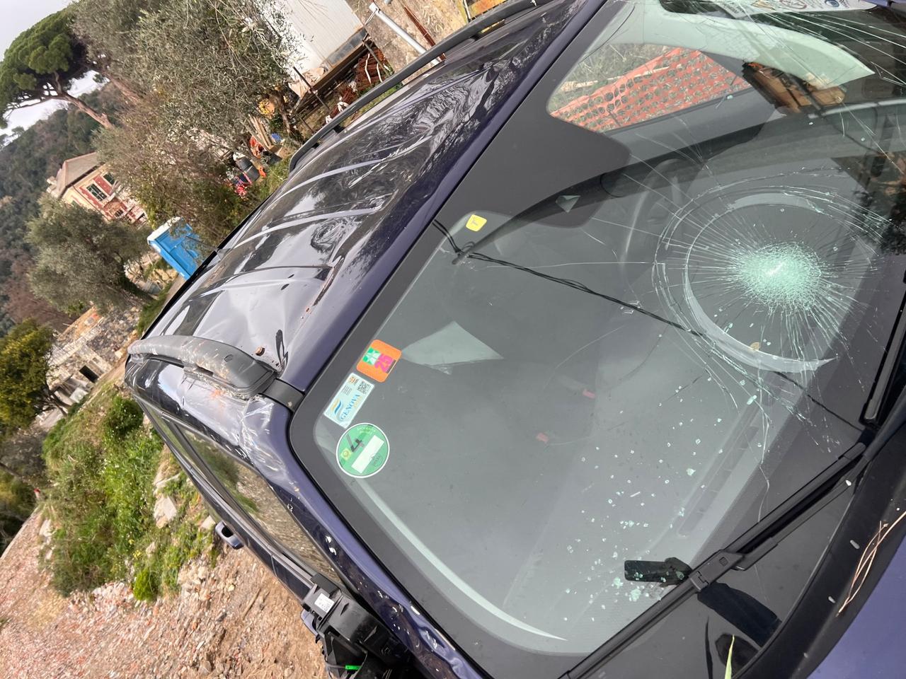 Jeep Renegade 1.6 Mjt 120 CV S danneggiata marciante Automatic