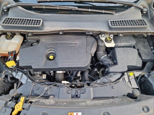FORD Kuga 2.0 TDCI 120 CV S&S 2WD Titanium