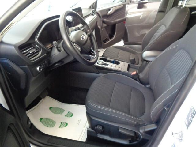 Ford Kuga 1.5 EcoBlue 120 CV aut. 2WD Titanium