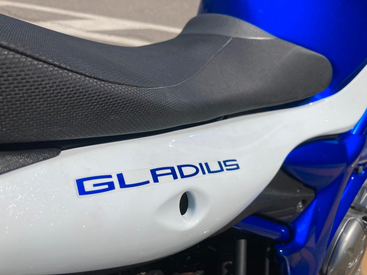 Suzuki Gladius sport