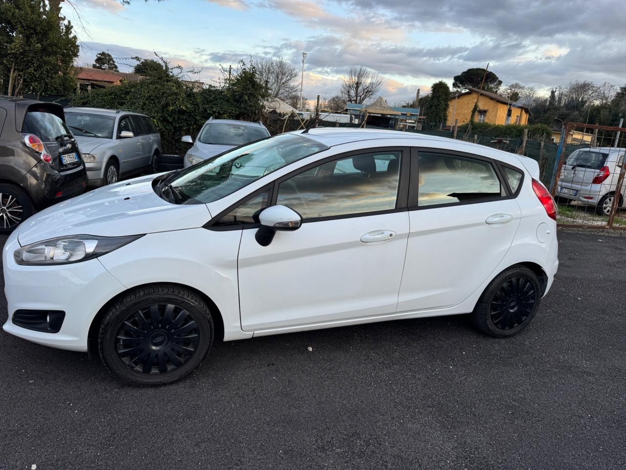 Ford Fiesta 1.5 TDCi 75CV 5 porte Black & White Edition