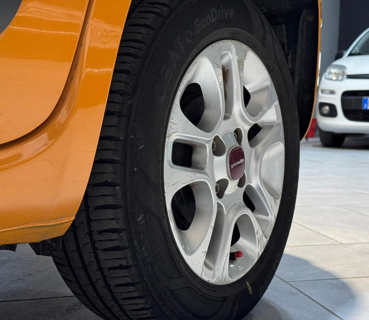 NEW Fiat Panda VARI MODELLI OCCASIONEE