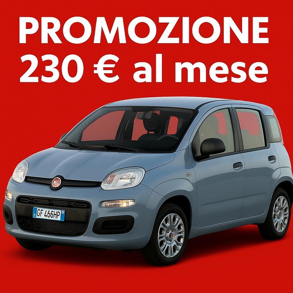 Fiat PANDA 1.0 FireFly 70cv S&S Hybrid