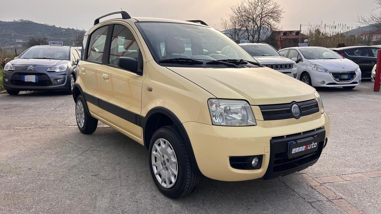Fiat Panda 1.2 Benz 60cv 4x4