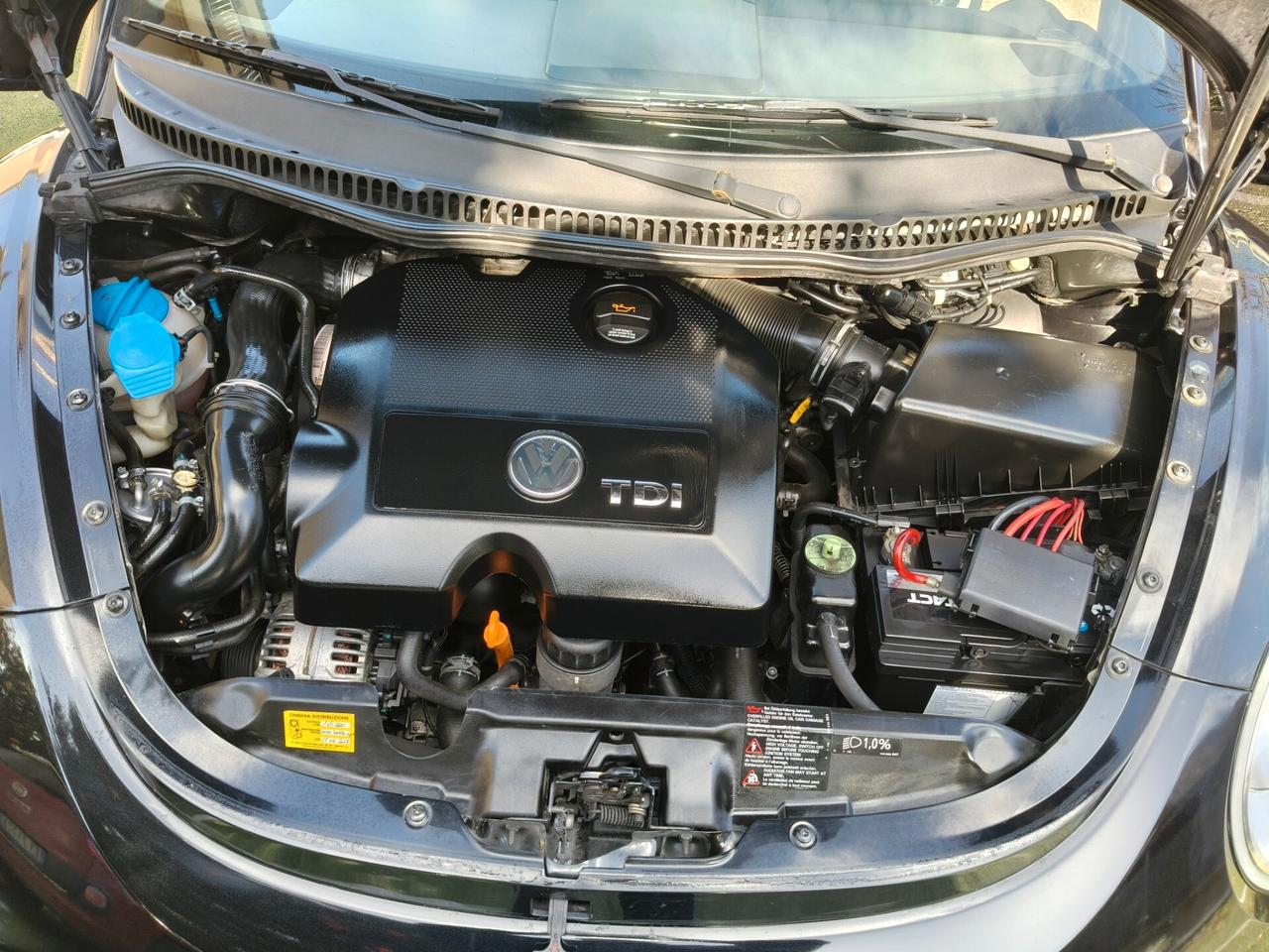 Volkswagen New Beetle 1.9 TDI 105CV Cabrio