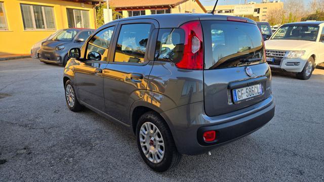 FIAT Panda 1.0 FIREFLY S&S HYBRID 5 POSTI AZIEN.LE GARANZIA