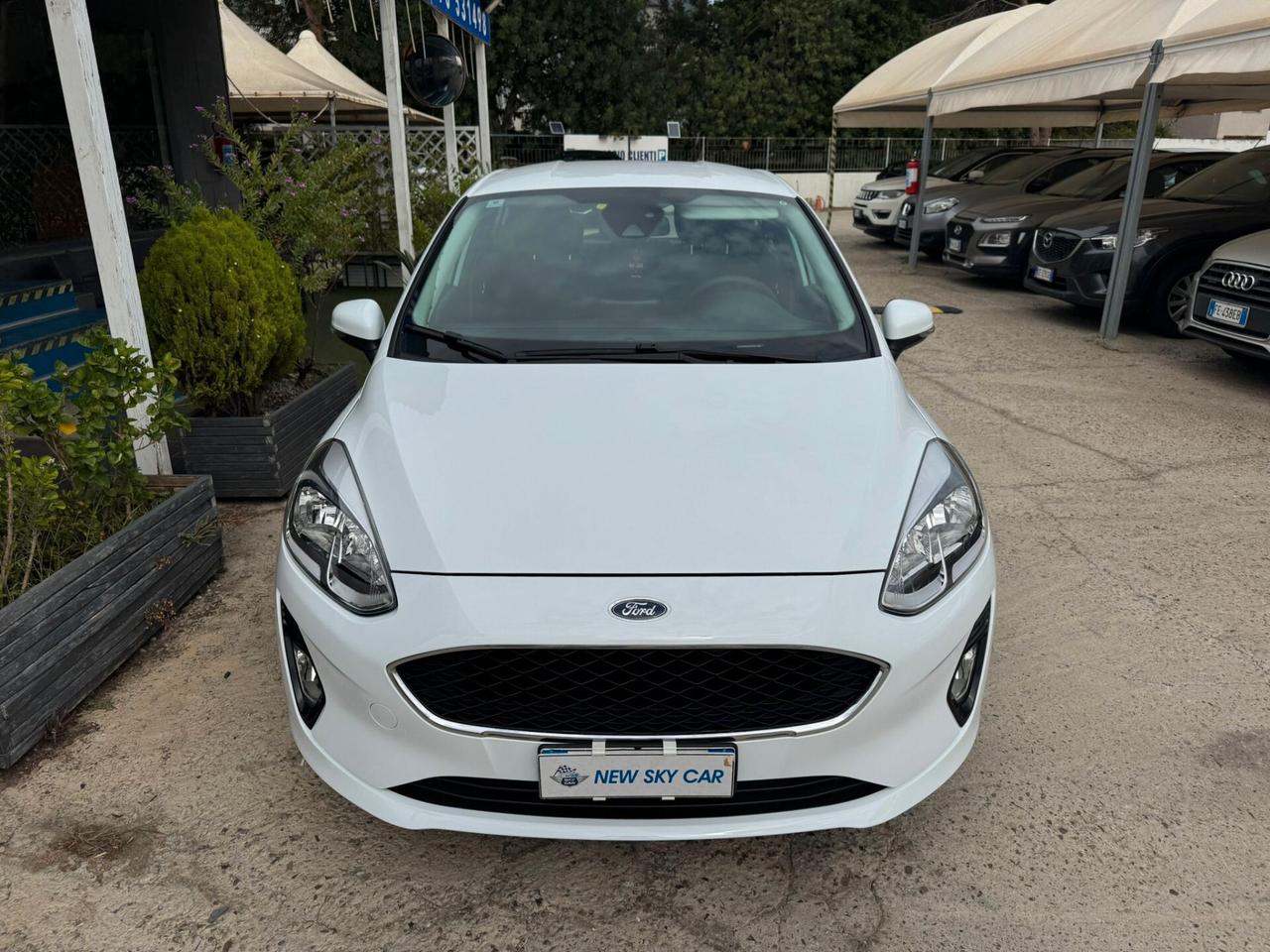 Ford Fiesta 1.5 EcoBlue 5 porte Titanium