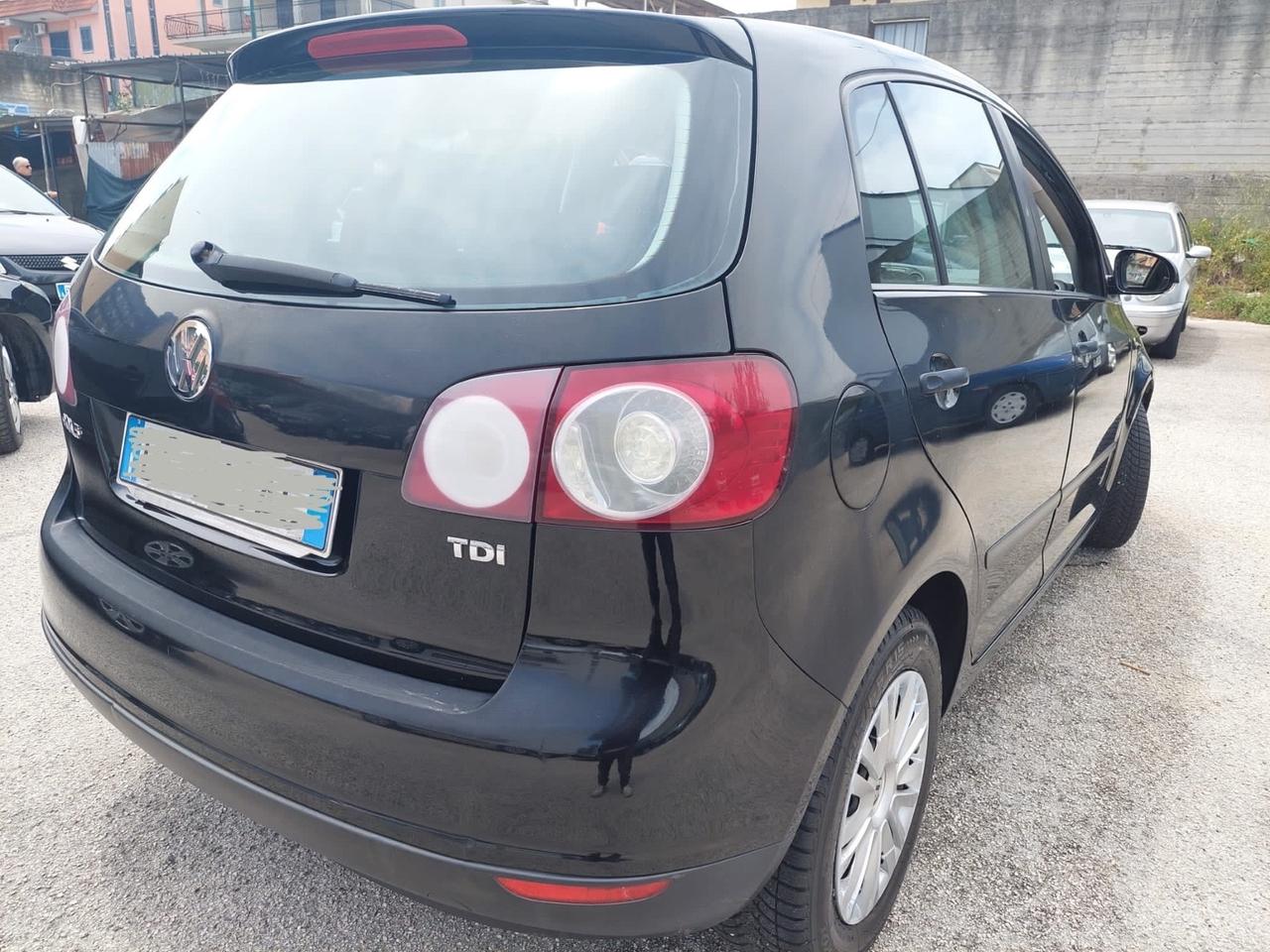 Volkswagen Golf Plus Golf 1.9 TDI 5p. Comfortline