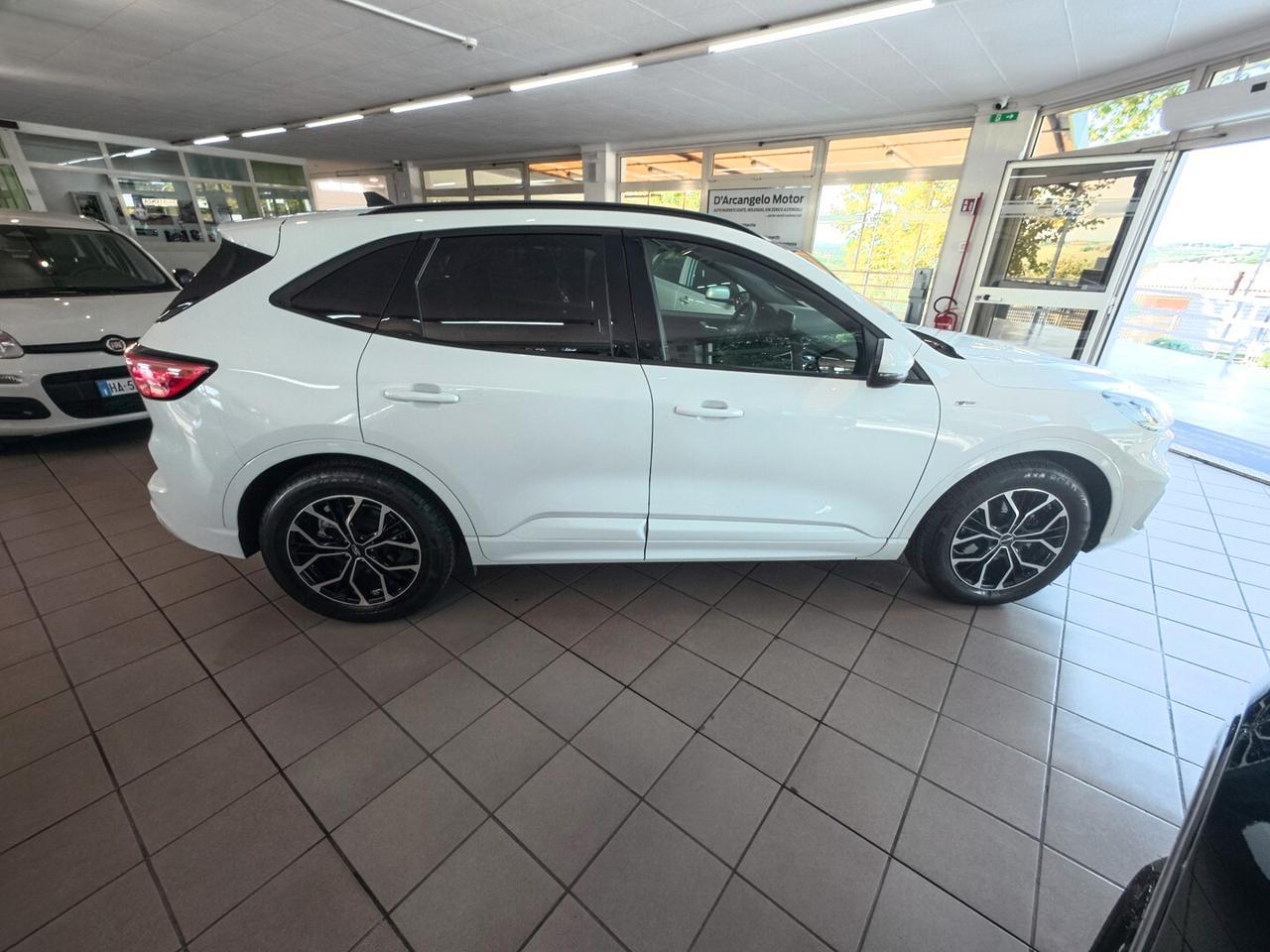 Ford Kuga 1.5 EcoBlue 120 CV 2WD ST-Line