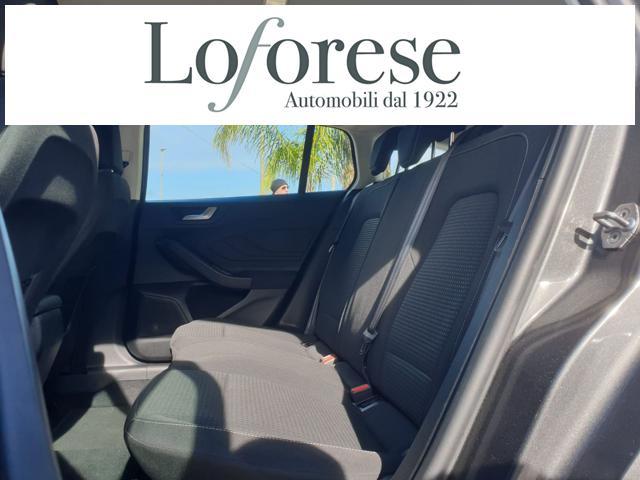 FORD Focus 1.5 EcoBlue 120 CV automatico SW Business Co-Pilot