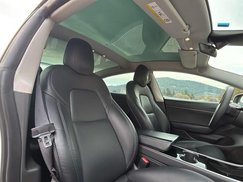 Tesla Model 3 Model 3 Standard RWD Plus