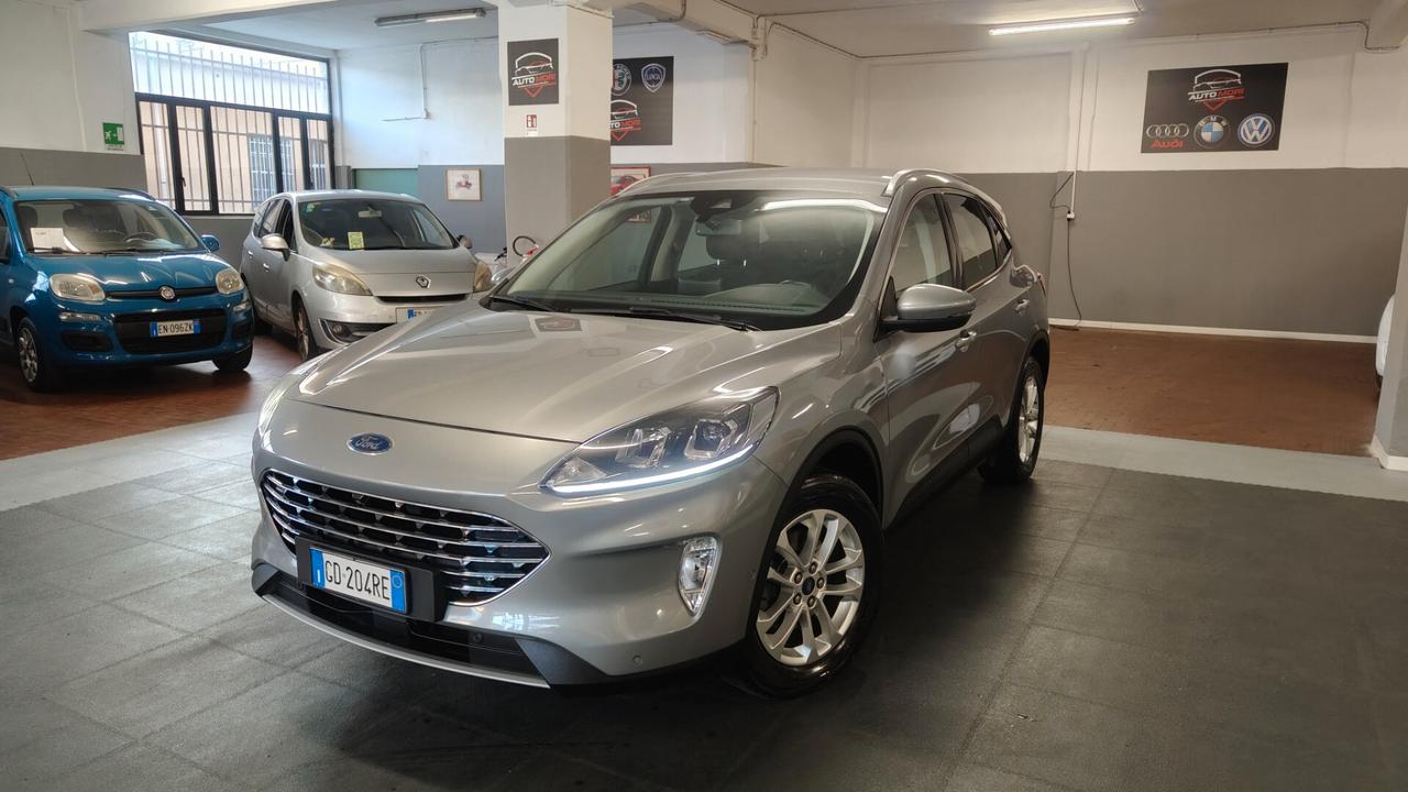Ford Kuga 1.5 EcoBlue 120 CV aut. 2WD Titanium Business