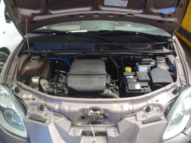 Lancia Ypsilon 1.2 8V Oro