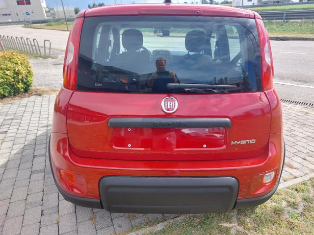 FIAT Panda 1.0 70cv Hybrid Panda My23