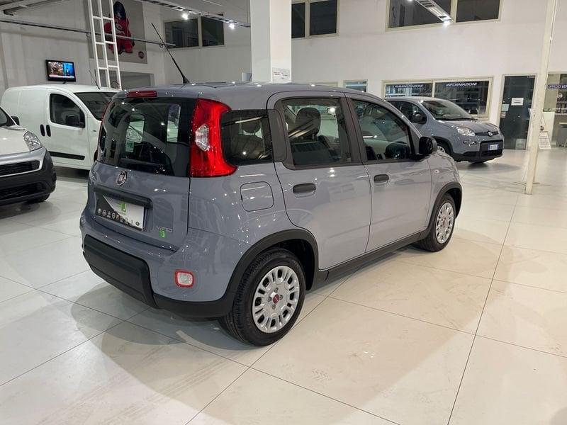 FIAT Panda PANDA Hybrid 1.0 70 CV