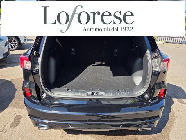 FORD Kuga 2.0 EcoBlue 120 CV aut. 2WD ST-Line