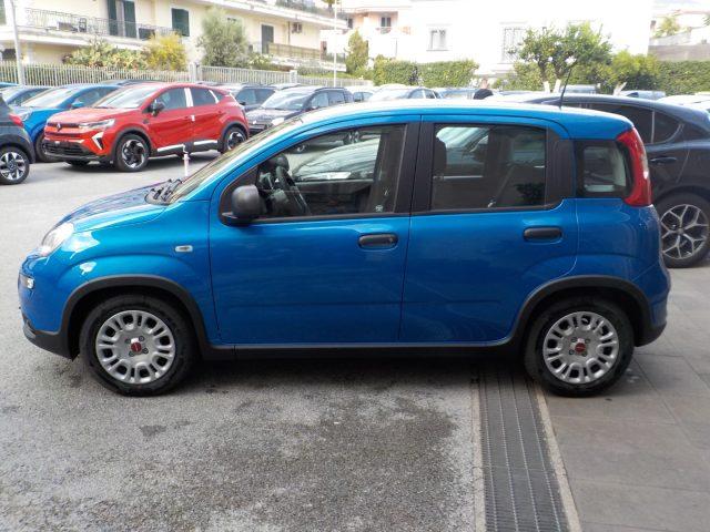 FIAT Panda MY25 - 1.0 FireFly Hybrid ICON