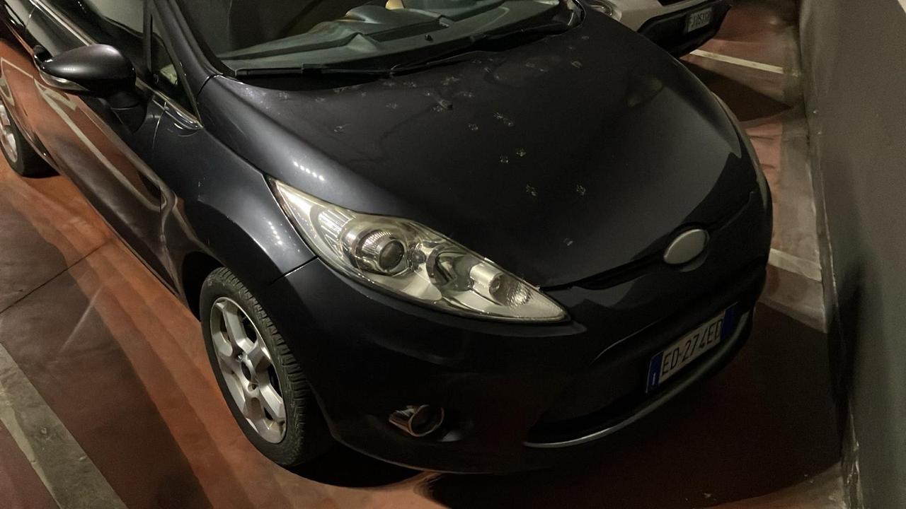 Ford Fiesta Fiesta 1.6 TDCi 95CV 5 porte pochi km