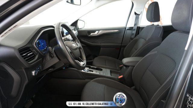 FORD Kuga 1.5 EcoBlue 120 CV aut. 2WD Titanium Business