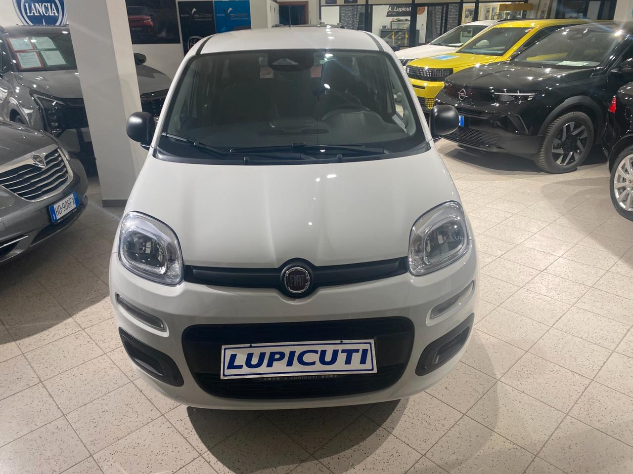 Fiat Panda 1.0 FireFly S&S Hybrid Icon